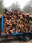 Четирима в ареста за незаконни дърва в преработвателен цех в Белица