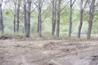 Община Симитли изчисти възникналото нерегламентирано сметище край река Струма до градския парк