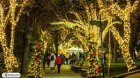 Община Благоевград обяви явен търг за отдаване под наем на Коледните къщички
