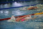 Над 200 деца от България и Сърбия взимат участие в традиционния турнир по плуване Дядо Коледа в Благоевград