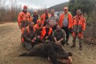 Хаджидимовските ловци с коледна слука-110-килограмово диво прасе