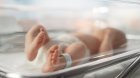 Първото бебе за 2024 година в България е Минчо от Пловдив