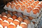 Вносни яйца и пилешко месо се преетикетират в нашите транжорни и се продават като български
