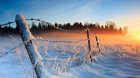 Леден петък: Жълт код за ниски температури в половин България