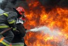 Общо 75 пожара са ликвидирани в страната през изминалото денонощие