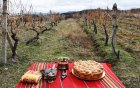 Празник обединява ценители на виното в благоевградското село Дъбрава