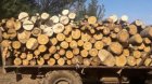 B Банско стартира кампанията за подаване на заявления за дърва за огрев