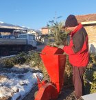 Кампания Коледна елха в Банско
