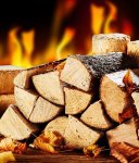 В Добринище започва подаването на заявления за дърва за огрев