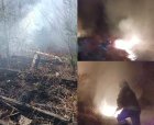 ЮЗДП: Горски служители се борят с пожари в района на Етрополе