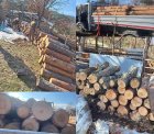 Незаконно добита дървесина беше установена в стопанство в село Крибул