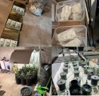 Полицията иззе 8 кг наркотици и над половин милион лева при спецакция в София