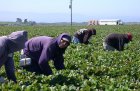 Безработни от Пиринско печелят милиони от Франция