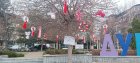 Стотици мартеници украсиха дърветата в центъра на Дупница за месеца на пролетта
