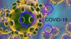 Два са новите потвърдени случаи на коронавирус у нас за последното денонощие