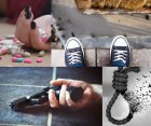 Прокоба скова Югозападна България: Сезонът на самоубийствата изправи на нокти полиция, психиатри, спешни медици и съдебните лекари