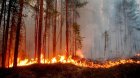 Кметът на Гоце Делчев със забрана за паленето на огън в гори, ниви и пасища на територията на общината