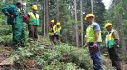 ЮЗДП с мерки срещу горски пожари край пътя Предел-Разлог