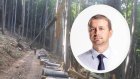 Депутатът от Възраждане-Даниел Петров: Ограничаваме соларите и в горите