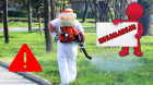 Внимание: Започва първото пръскане срещу насекоми на територията на община Благоевград