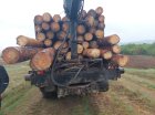 Камион с дублиран курс превозвана дървесина задържаха екипи на ЮЗДП