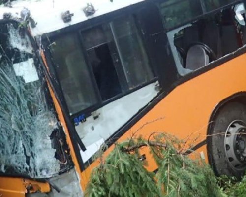 Автобус се заби в дърво край Мелник