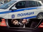 Отвличането на сина на шефа на Икономическа полиция в Дупница се оказа инсценировка