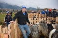 Дългокосмести кози, кучета и коне дефилираха в Крупник