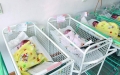 110 бебета са родени в Разлог през миналата година