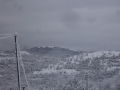 Паднали дървета и скъсани кабели от снега в Благоевград