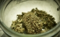 Нов опасен вид марихуана се разпространява в Русе