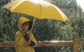 Жълт код за обилни валежи е обявен за Благоевград и други 5 области в страната