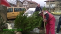 През седмицата посветена на пролетта в благоевградското село Логодаж засадиха 40-броя дървесни растения