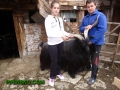 Черен  4-годишен козел от Разлог е шампионът на изложбата в Кресна
