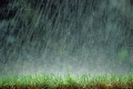 Най-много дъжд през последните шест часа се е изсипал в Рожен, Кърджали и Гоце Делчев