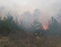 Кестенова гора, сухи треви и храсти горят над петричкото село Коларово