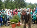 Доброволци засадиха 350 дръвчета на Витоша