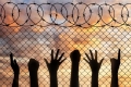 Гранична полиция задържа 48 нелегални мигранти на българо-сръбската граница