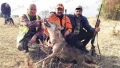 Убиха страшилището за животновъдите в Санданско (СНИМКА)