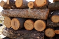ЮЗДП - Благоевград осигурява дърва за местно население по списъци, изготвени от кметовете