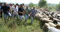 Фермерите стягат протест в София