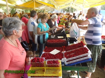 Учени: Малините са голям помощник в борбата с рака