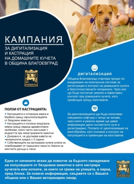 Медиатори и доброволци преброяват кучетата в ромската махала в Благоевград