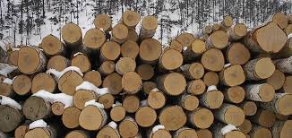 Откриха незаконна дървесина в дърводелски цех на Мустафа Тачев в село Бабяк