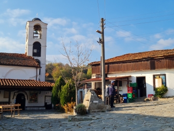 Мечка с малки меченца нахлу в двора на стринката на гоцеделчевския кмет Вл. Москов в с. Тешово