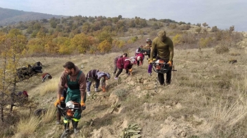 ЮЗДП набира дарения за залесяване