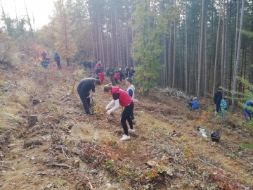 Югозападното държавно предприятие планира да залеси над 5 хиляди декара