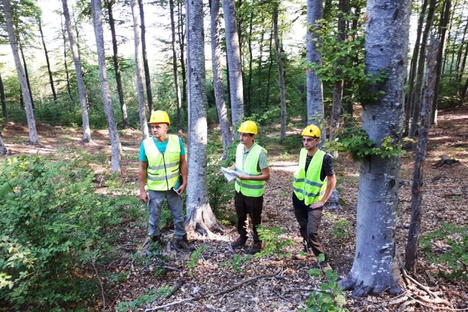 Обучиха 130 служители от ЮЗДП за отговорно управление на горите