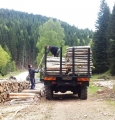 ЮЗДП с мерки за осигуряване на населението с дърва за огрев на достъпни цени