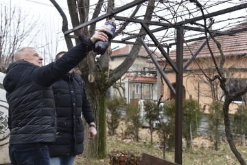 Зарязаха лозята за здраве и берект в село Черниче